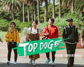 暗网视频《TOP DOG》免费在线观看
